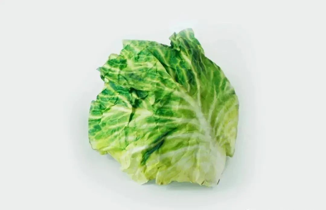 仿生设计 | 美食为灵感的设计你了解吗？