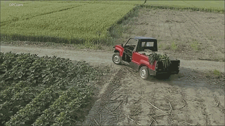 在阿里巴巴，老外发现了淘车新大陆