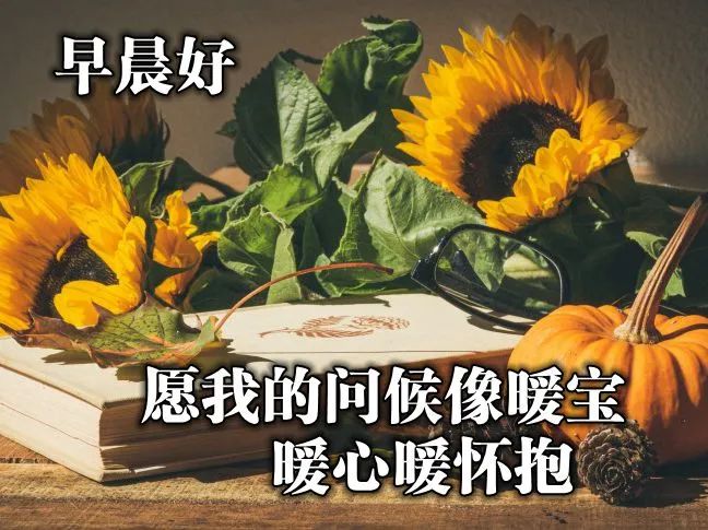 最新的祝福图片带字，最真诚的早上好美图片图片