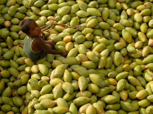质量不达标，我国削减从越南进口水果，巴铁大量水果开始进入中国