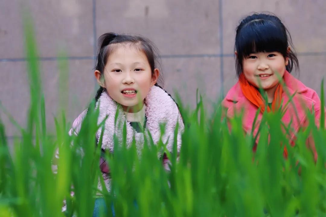 带上五官到校园里寻找春天——成都市华中附小大自然的语文课