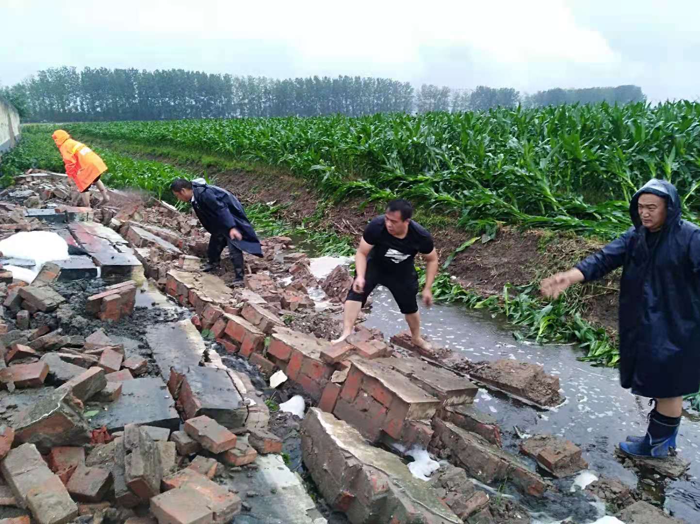 暴雨见证：有人替你负重前行