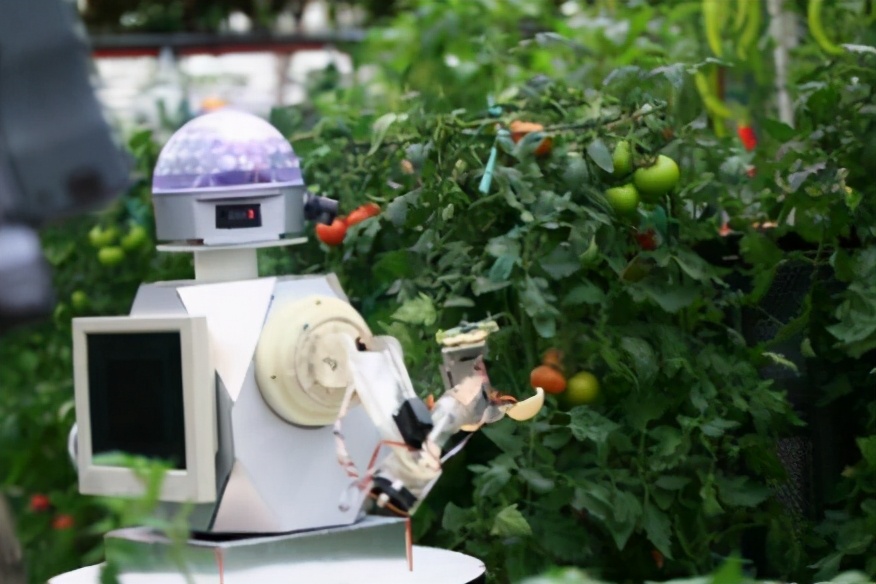 Home first " 5G+ is mobile " nucleic acid detects the car appears, overall situation of city of a week wisdom fast see