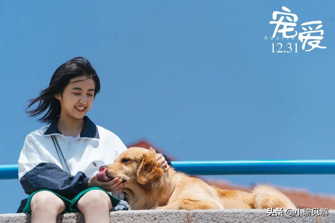 “盲人”吴磊与张子枫，一对“宠物”式友情