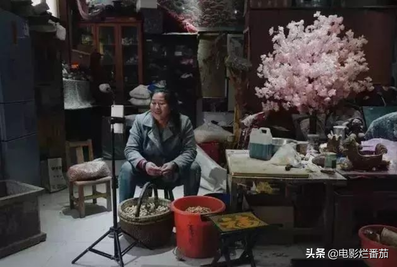 草根明星的混乱生活：阿宝扮女装，草帽姐败人品，大衣哥直播捞金