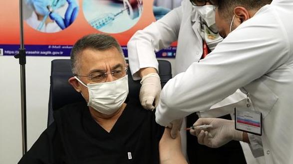 土耳其副总统奥克塔伊接种中国新冠疫苗
