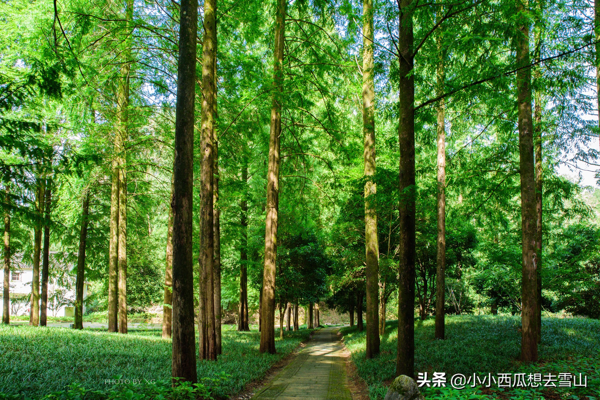 浙江杭州这处地是避暑天堂，夏季出游好选择，多部影视剧在此取景