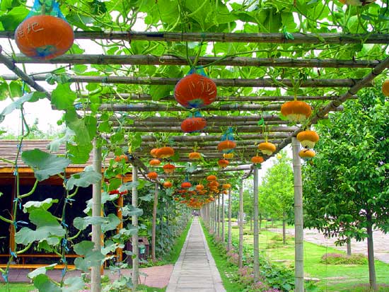 浙江旅游：走进生态旅游区滕头村（图）
