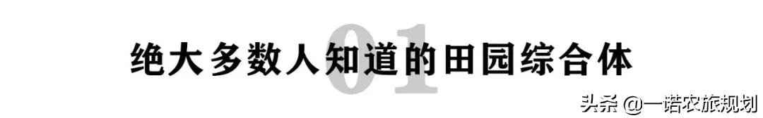 "田园综合体"项目到手,不知道怎么做?