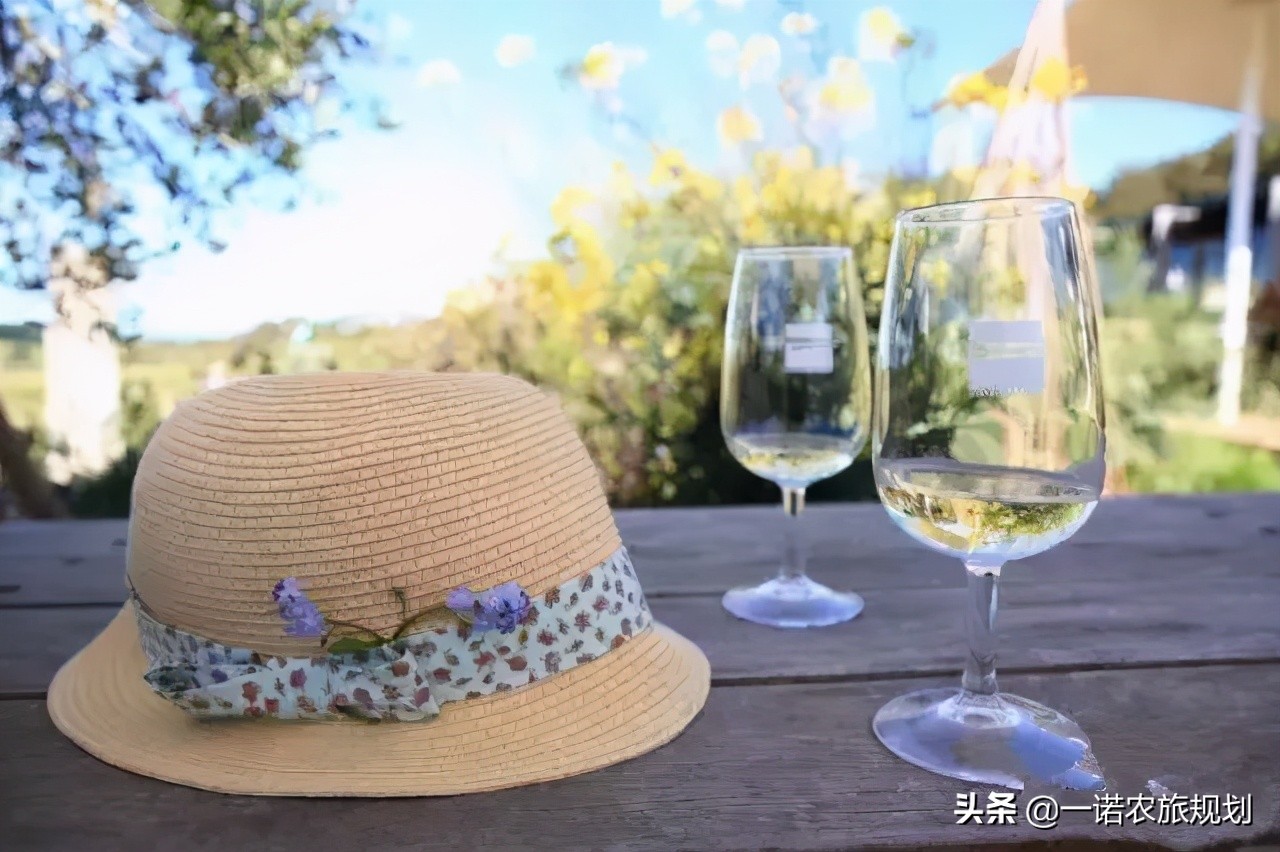 大旅居时代——康养旅居地产华丽登场