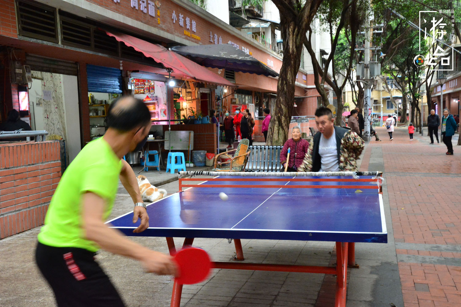 有人在重庆住了22年，都没听说过张家花园，渝中区的“世外桃源”