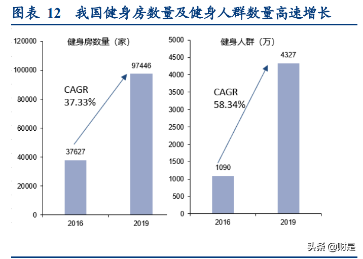 东鹏饮料深度研究报告：鲲化为鹏，志图神州