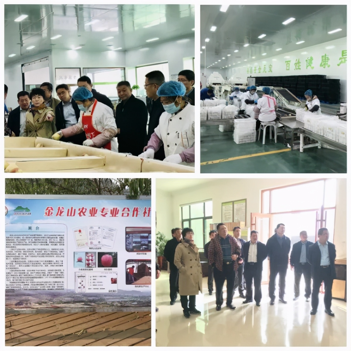 省农业农村厅到我市现场核查省级现代农业产业园创建工作