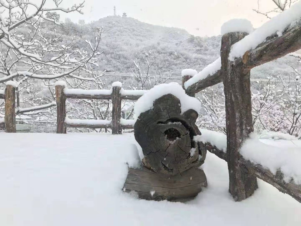 下雪啦！北京城区迎来2021年首场降雪，多图预警