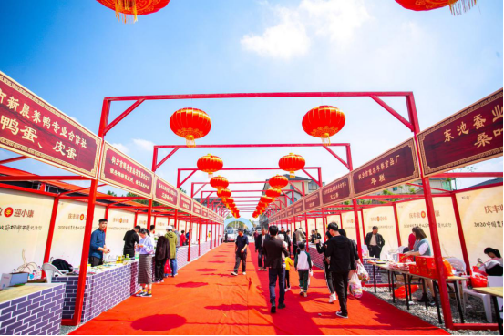 桐乡丰收节开幕 这里“丰”景正好