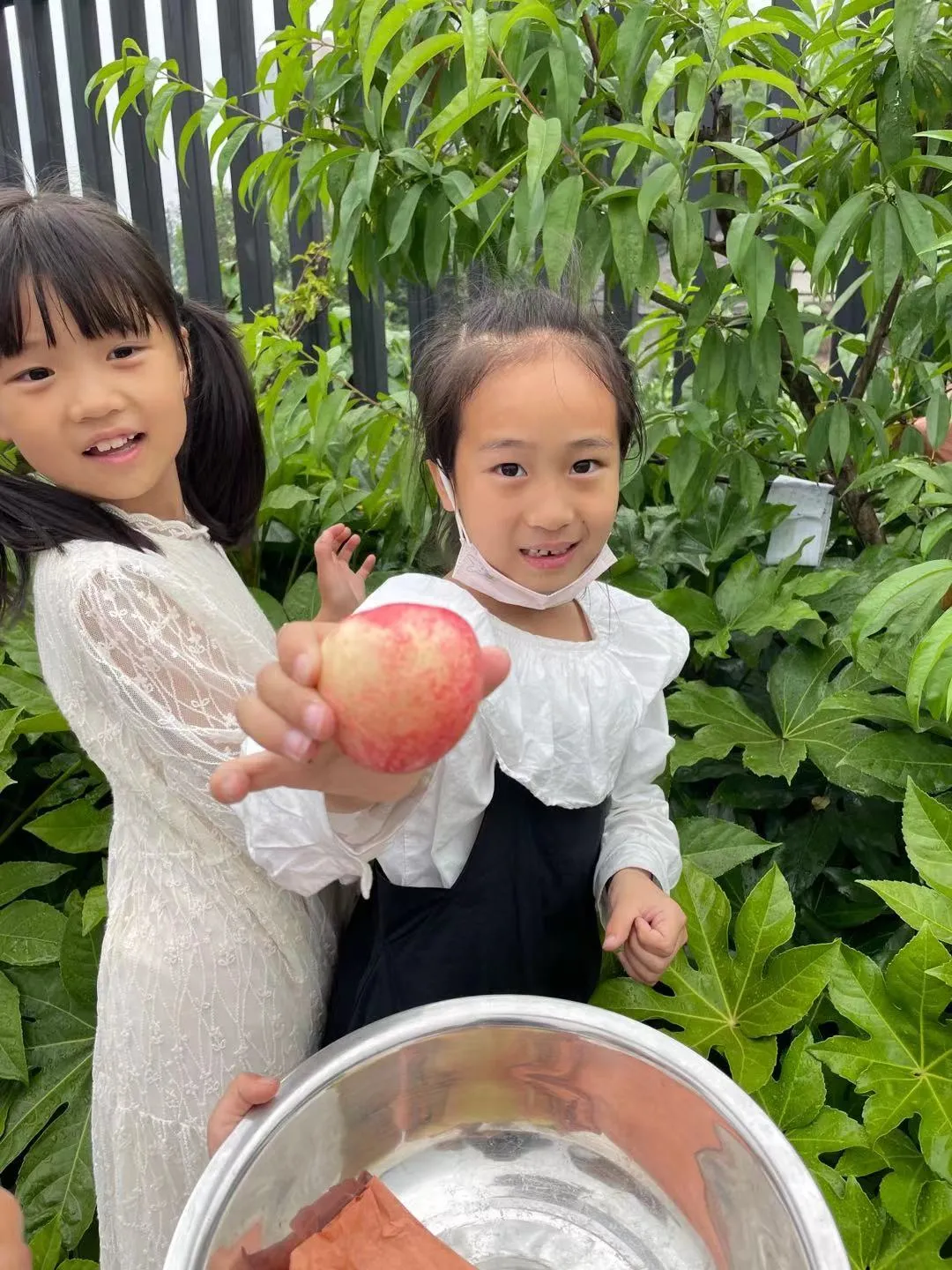 快乐劳动 幸福采摘——双流区实验小学外国语学校劳动课程