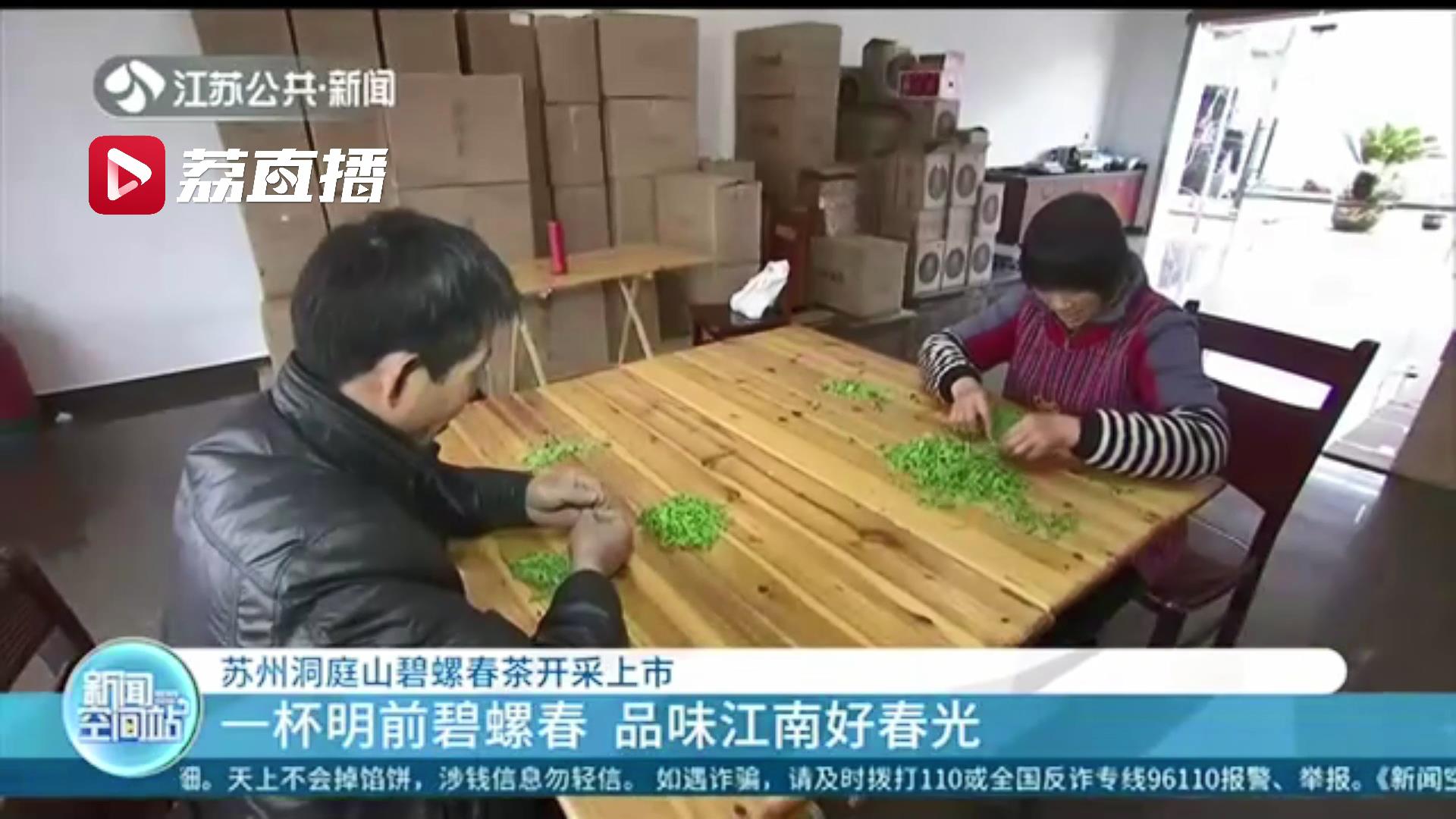 一杯明前碧螺春 品味江南好春光 苏州洞庭山碧螺春茶开采上市