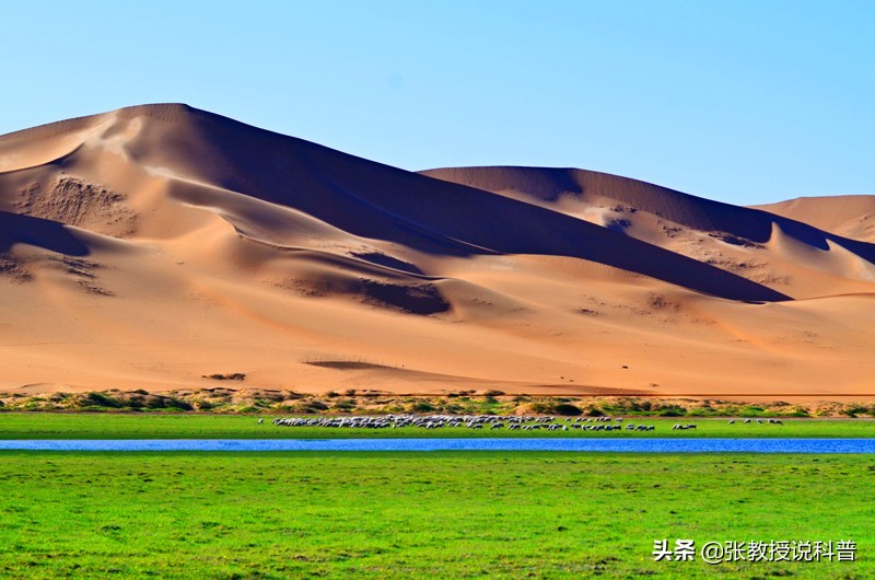 全球变暖，塔克拉玛干沙漠遭遇罕见洪水，未来会变成绿洲吗？