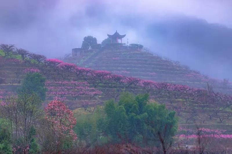 奉化水蜜桃文化节开幕式暨“百年红帮 旗遇芳华”红帮服装云走秀