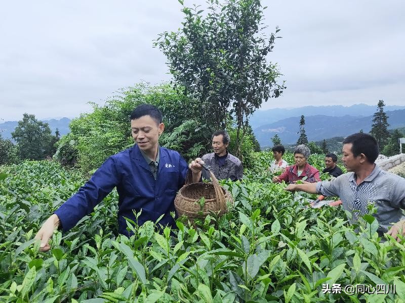 古蔺：乡贤人士吴兴杰退伍不褪色 带领群众致富奔小康