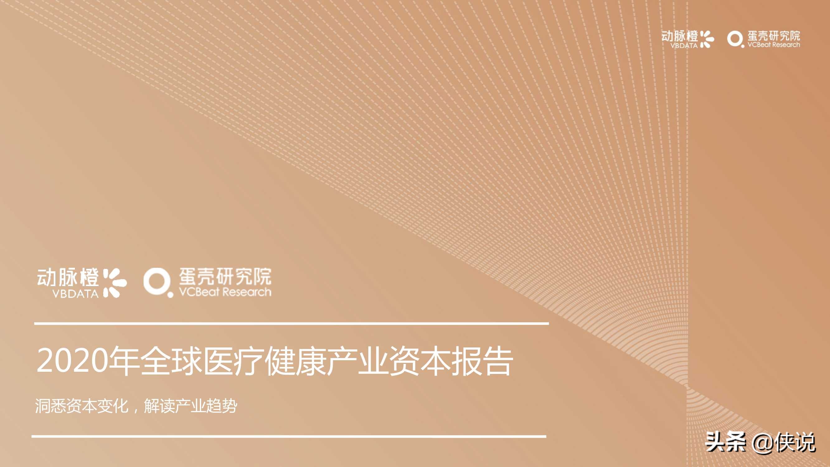 2020年全球医疗健康产业资本报告