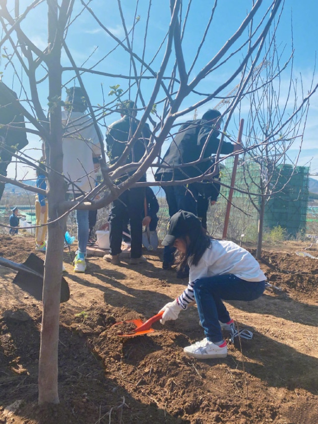 Dong Xuan Pure Brightness takes a daughter to plant tree, 4 years old of small dimple water the individual character that bury earth is independent, 