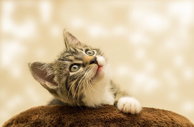 不好意思 原油宝这事没完