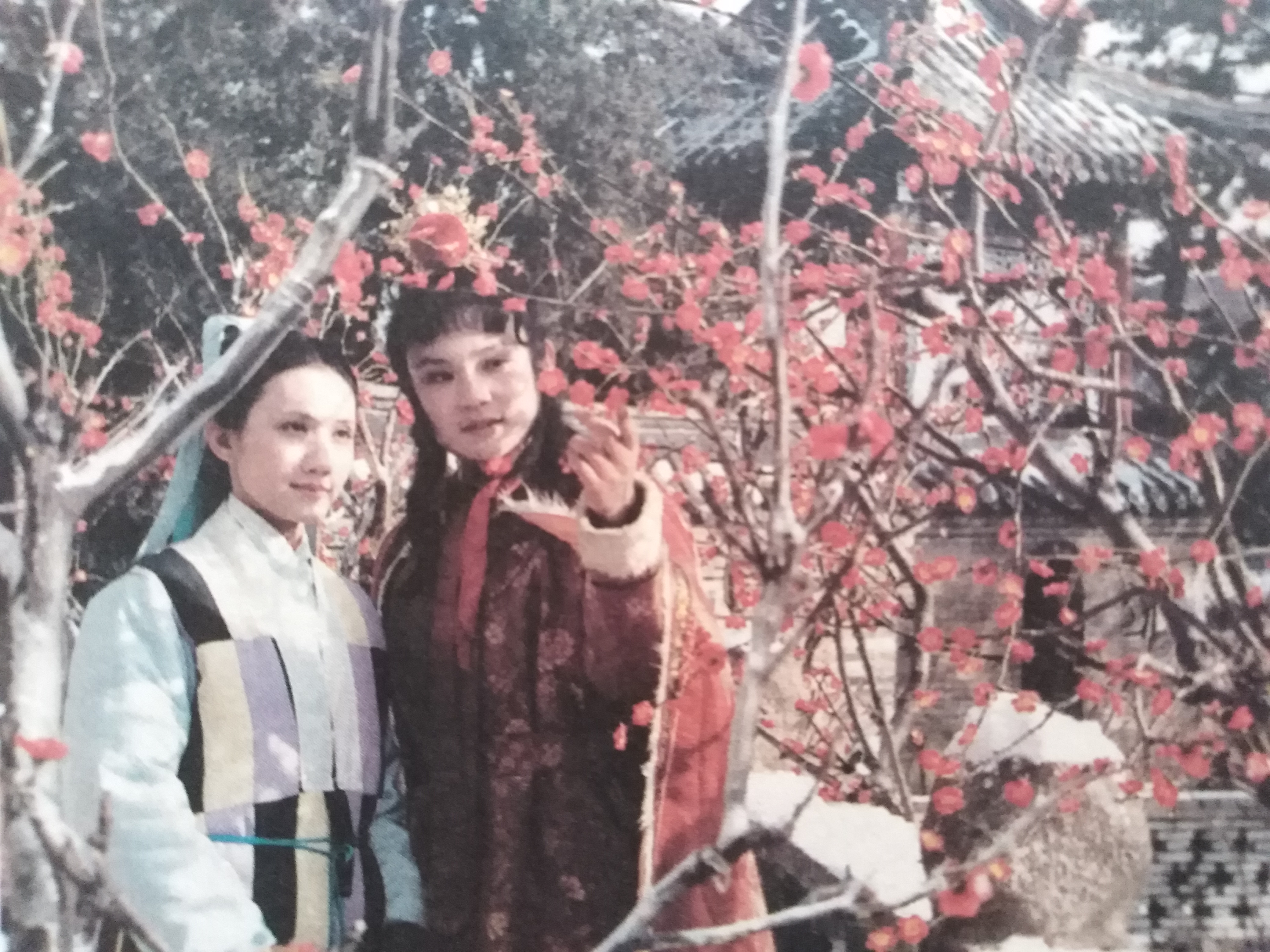 刘姥姥喝过的茶杯，妙玉为何嫌脏？宝玉：她没有嫌贫爱富