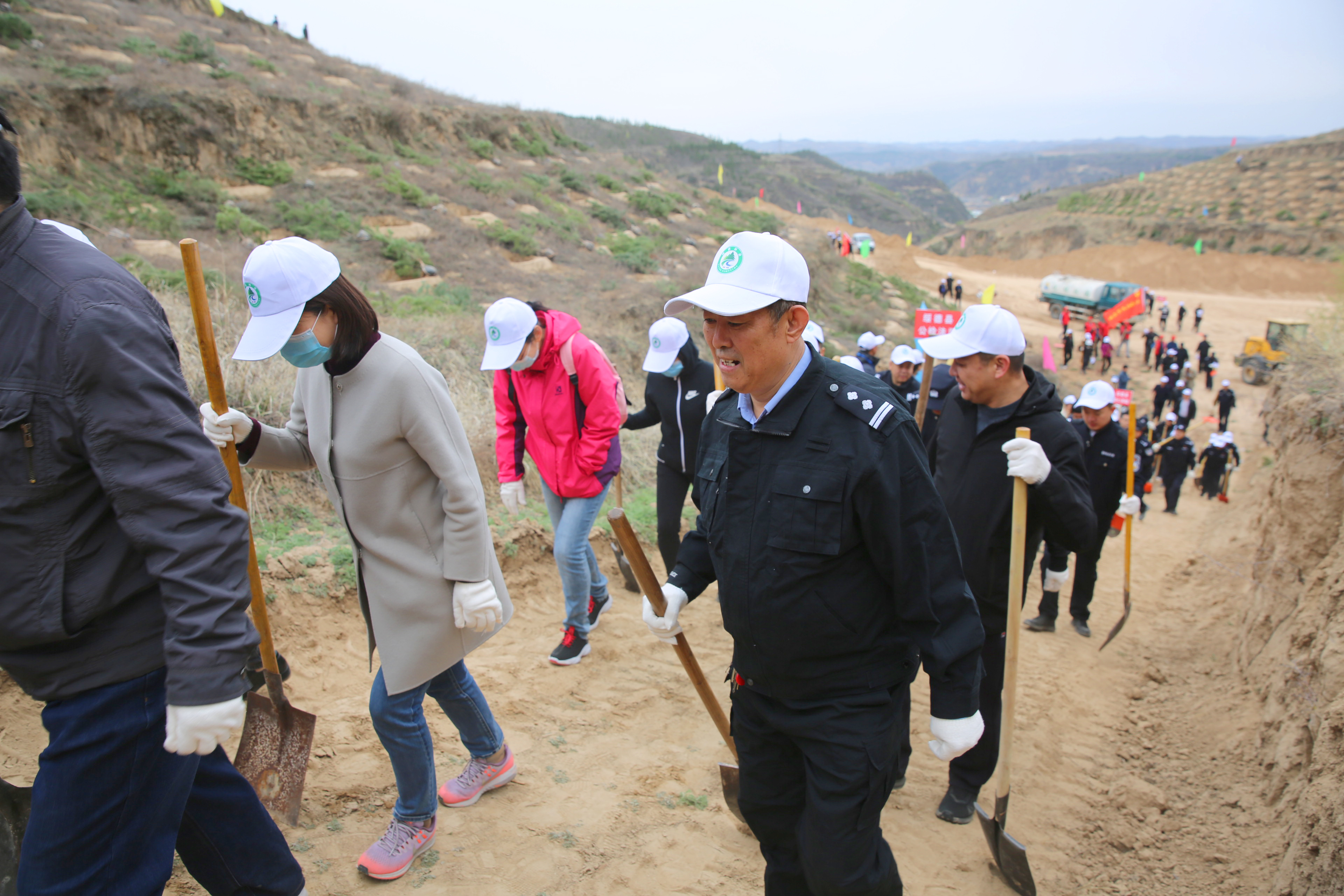 “我为群众办实事”| 绥德法院开展义务植树活动，将绿意种在春天里