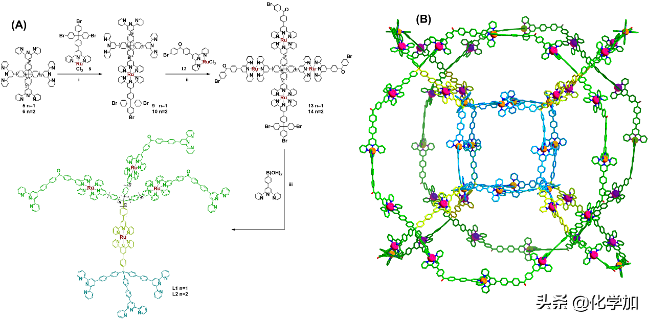 JACS封面！广州大学王平山教授团队合成超大双壳超分子笼