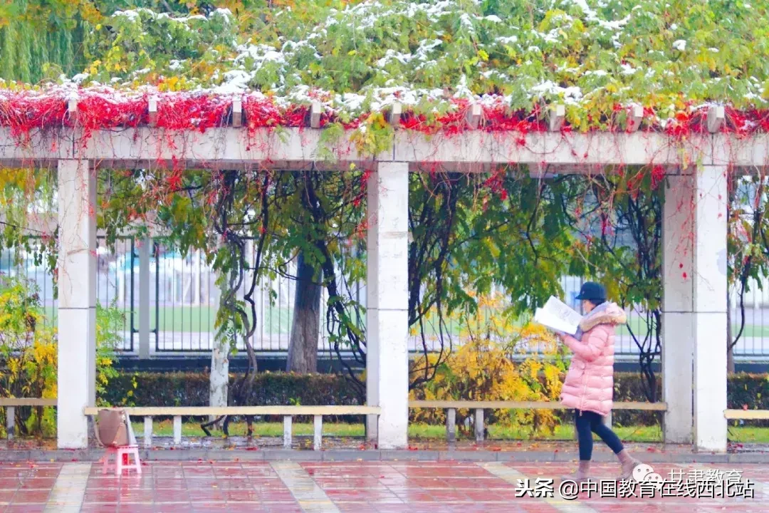 甘肃初雪|甘肃18所高校初学雪景大PK,快来看看有你的母校没?