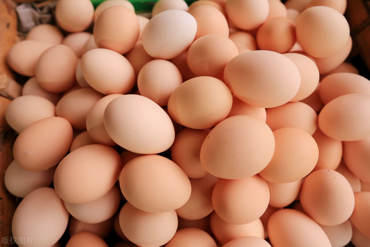2021.8.13日参考鸡蛋价格