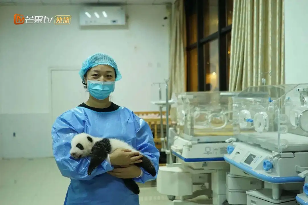 中国故事海外热议，《闪耀的平凡》何以成就外宣传播新样本？