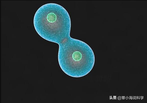 生命都是由原子组成，既然原子可以永生，为什么生命却不行？