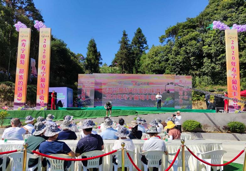 “寿宁葡萄，甜蜜的味道”2020年寿宁葡萄丰收节圆满举办成功