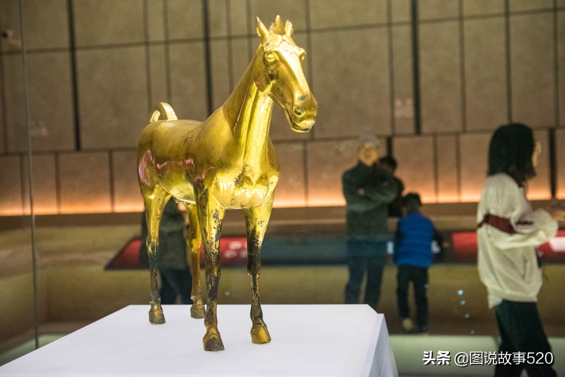 汗血寶馬多少錢一匹,純種汗血寶馬多少錢一匹