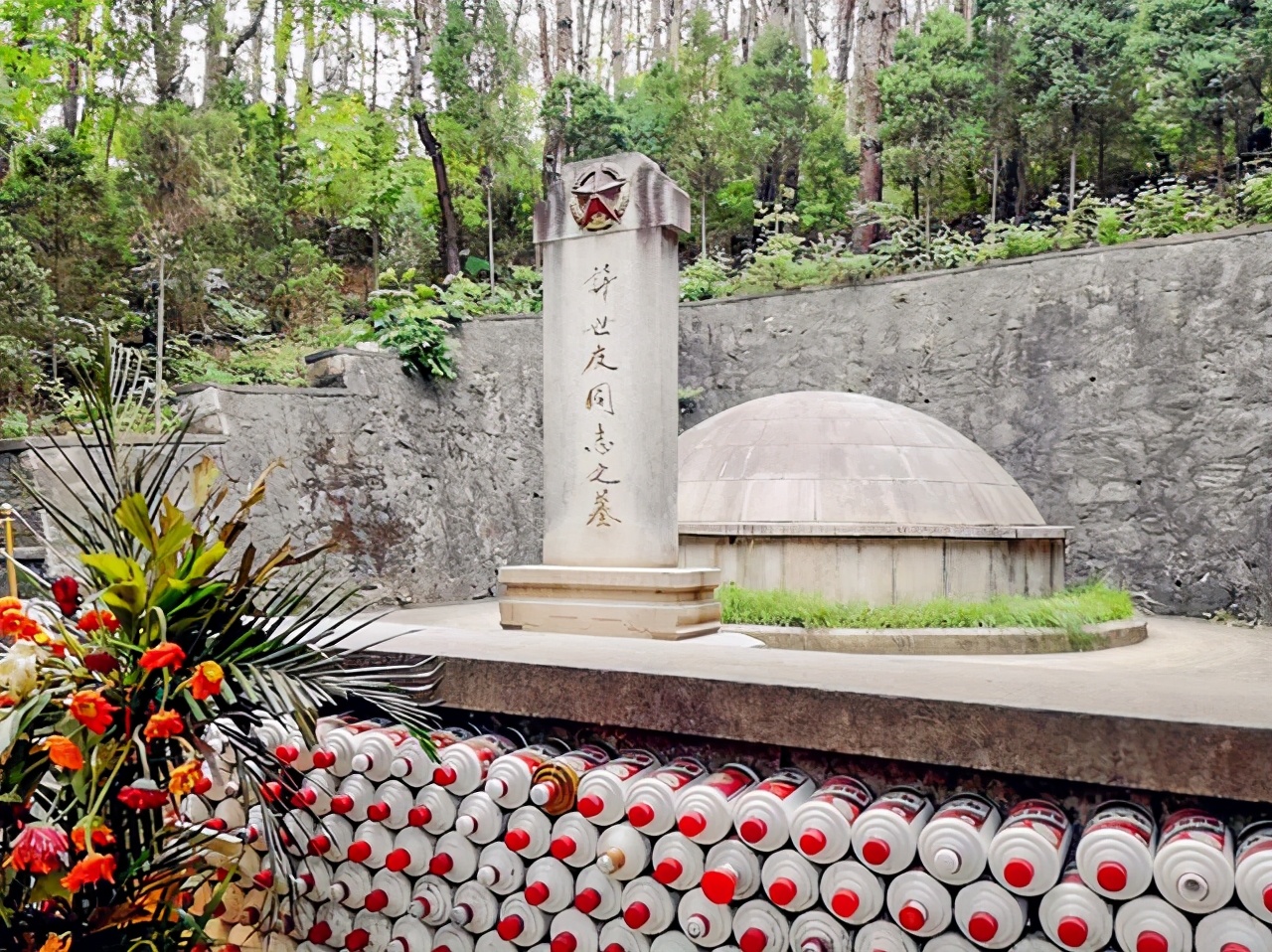 许世友凭什么享有两个特权？在军中可以喝酒，死后允许他不火葬