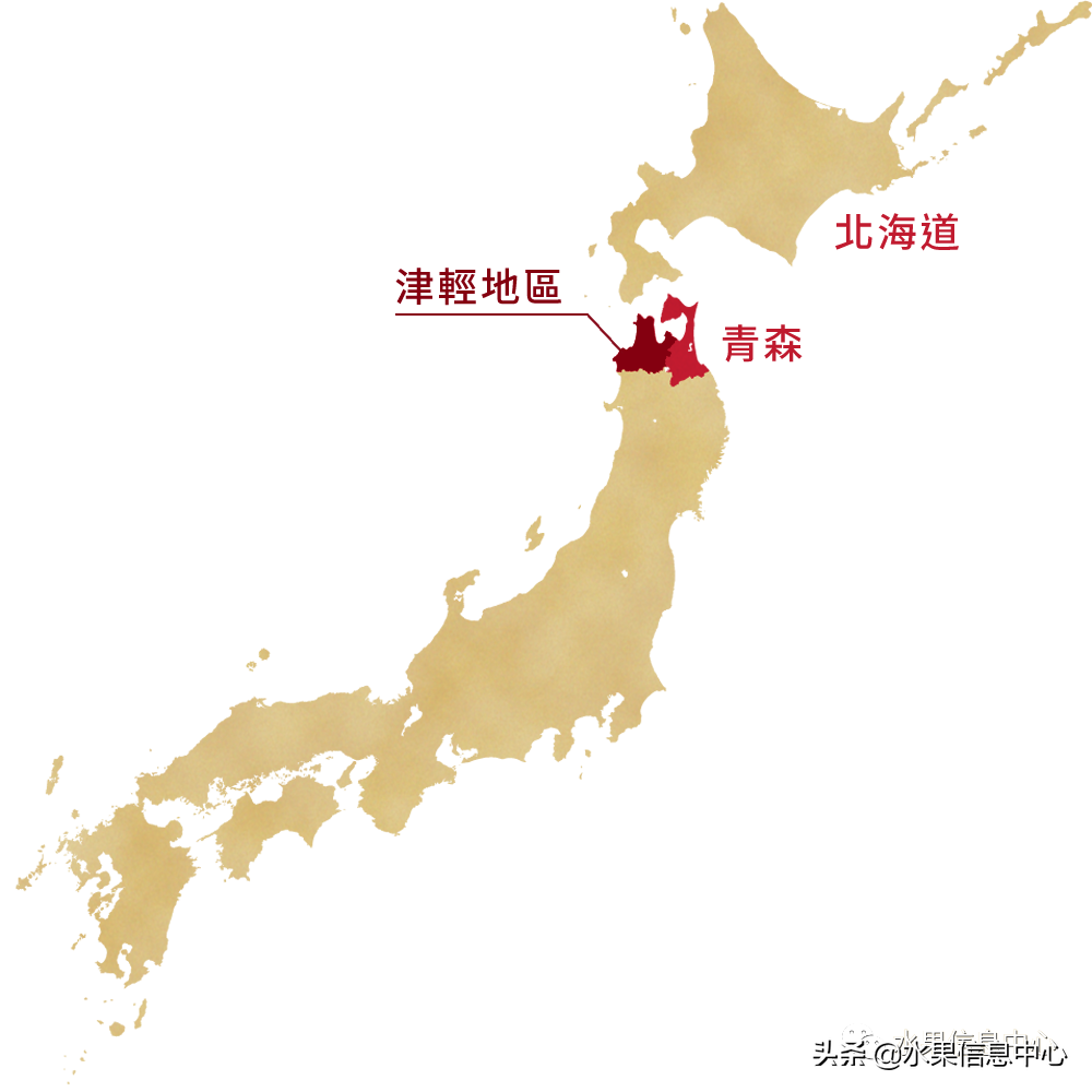日本苹果为什么种的好？走进日本苹果第一大县“青森县”