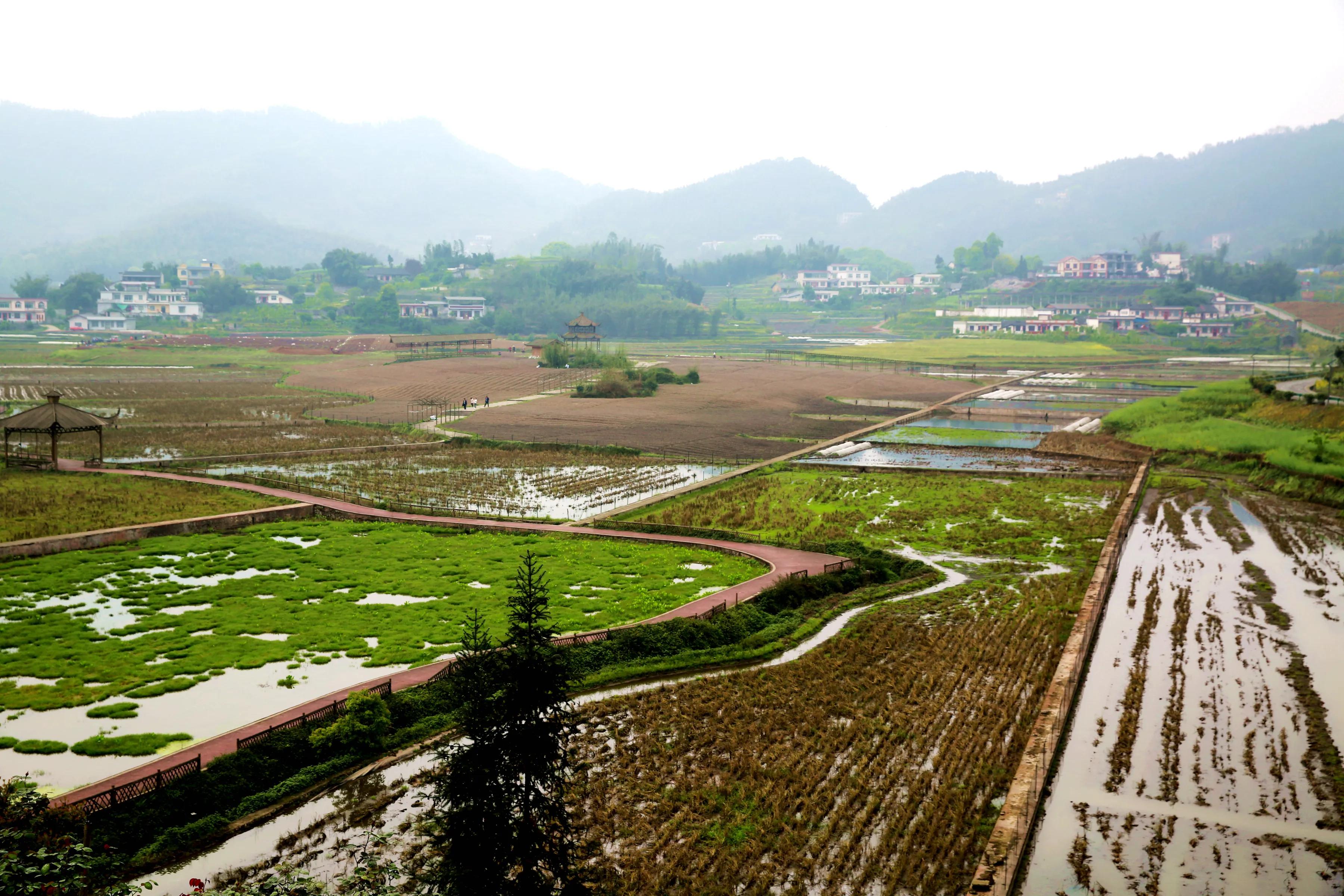四川兴文县因地制宜发挥生态原产地优势加快特色农业发展