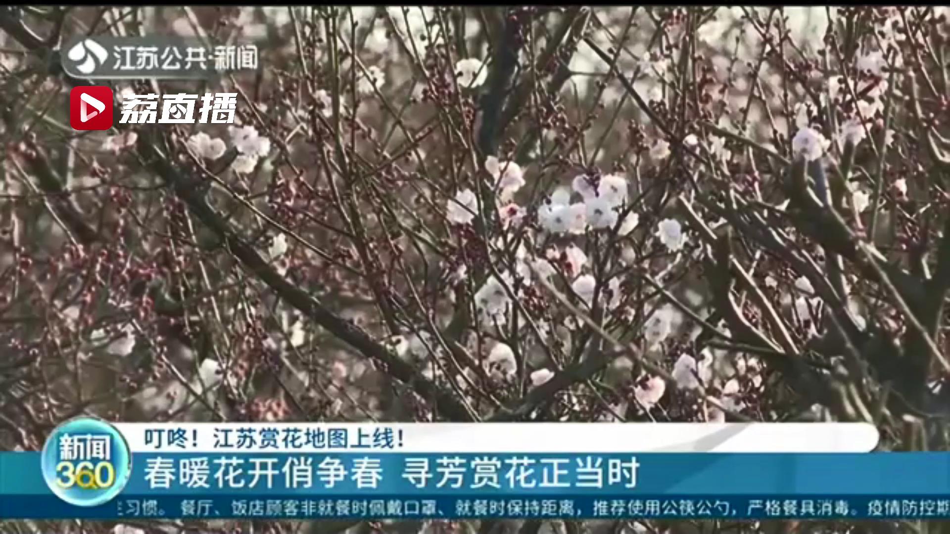 春暖花开俏争春 寻芳赏花正当时 江苏赏花地图已上线