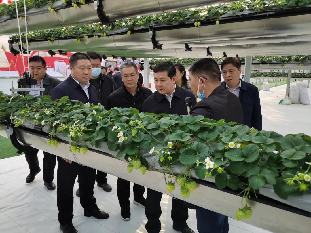 第九届沂蒙优质农产品交易会暨兰陵（苍山）菜博会筹备工作会议在兰陵县召开