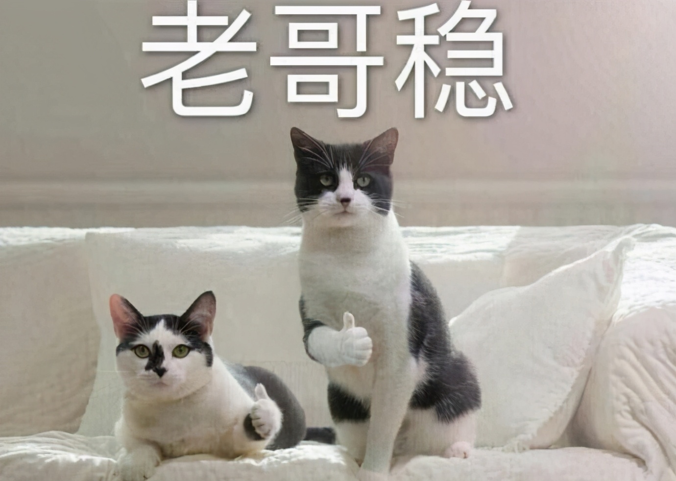 还要去接吗？伦敦封城了，小留学生的家长，“