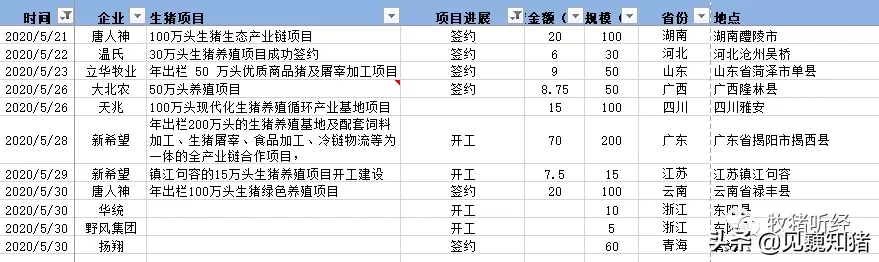 2020年生猪养殖投资情况梳理