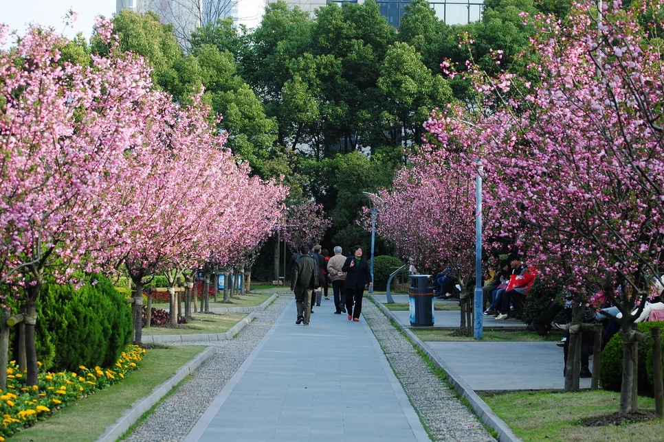 上海一“巨无霸”公园火了，占地1.3万平方米，