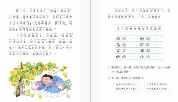 小学语文教资面试《我要的是葫芦》教案+逐字稿