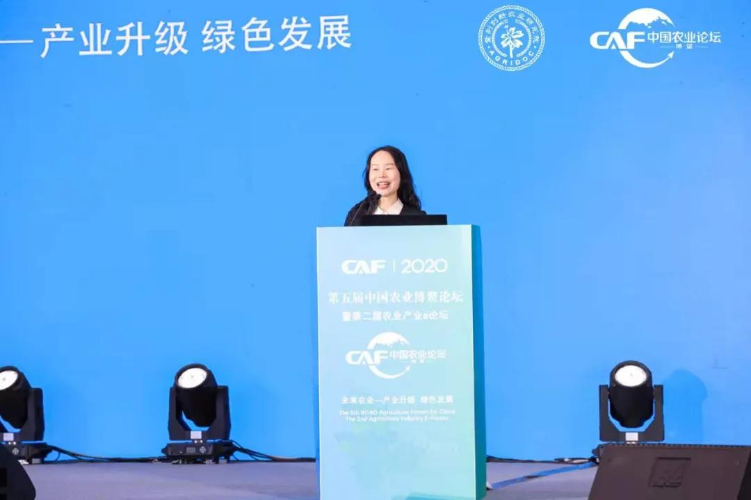 让定心绿茶走出国门，享誉世界