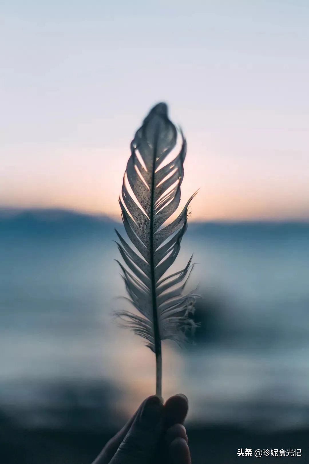 为什么要写作？