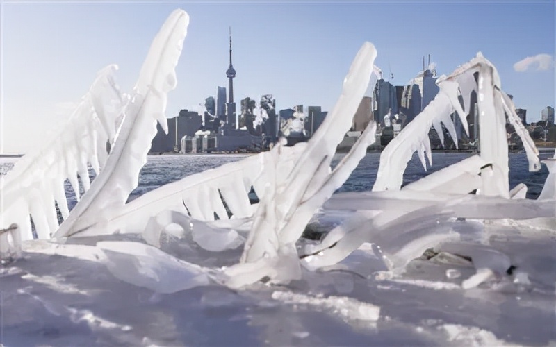 50������ʲô��������ѧ������Ԥ�⡭��