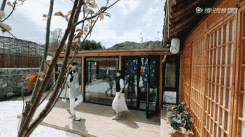 打脸江宏杰？日媒曝福原爱回日本的真实原因：