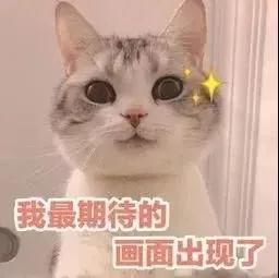 最燃福利｜仅10000张，2020郑州国际车展门票免费领